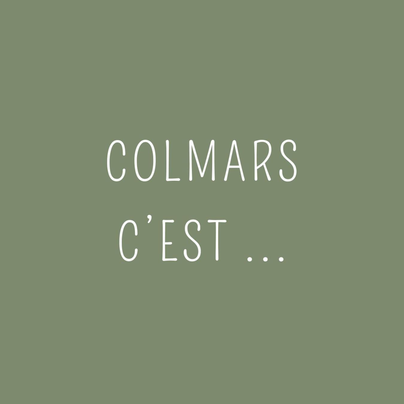 Maison Familiale Des Remparts Colmars Extérieur photo
